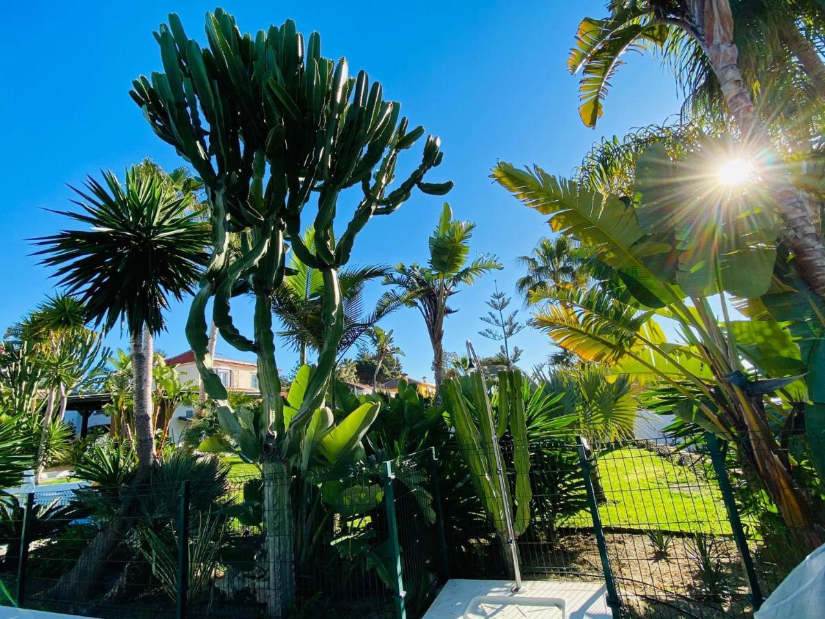Studio-Near The Beach, Bbq And Seawater Pool Marbella Exteriör bild